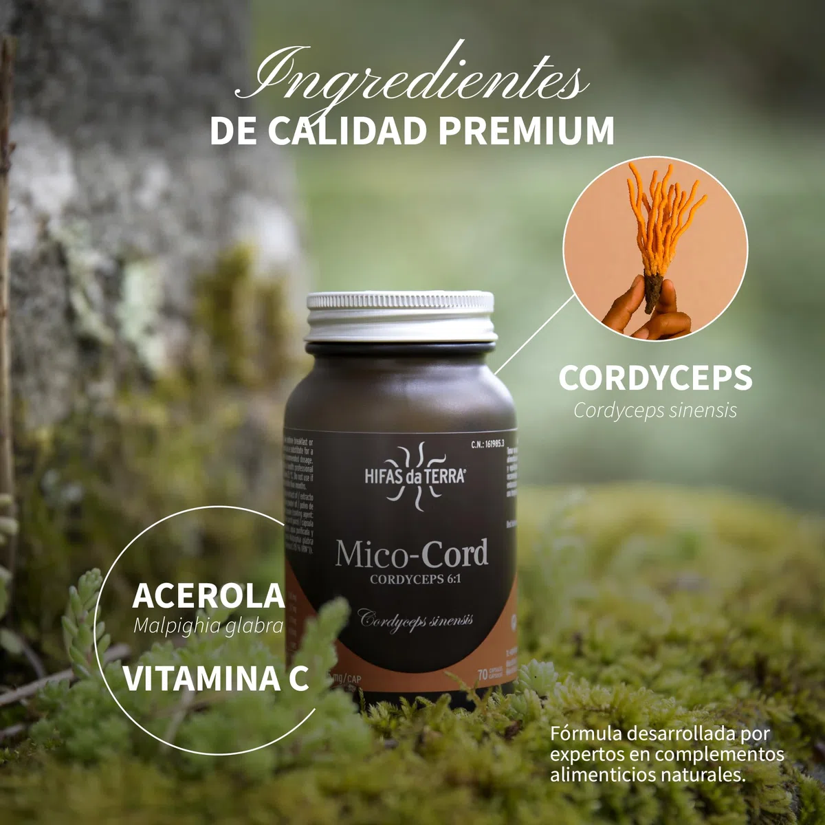 HIFAS DA TERRA - Mico-Cord Extracto Puro de Cordyceps + Vitamina C Natural - Extracto de Hongos - Energía, Vitalidad, Rendimiento Físico y Recuperación Natural - Bote 70 Cápsulas
