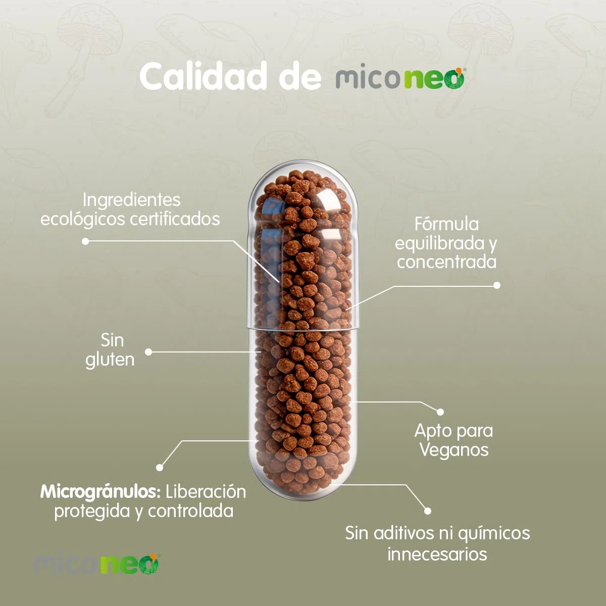 MICO NEO | ALR | 60 Cápsulas | Ayuda contra los Síntomas de Alergias Estacionales | Reduce la Tos | A Base de Sol de Oro, Reishi, Champiñón del Sol, Melena de León y Camu Camu