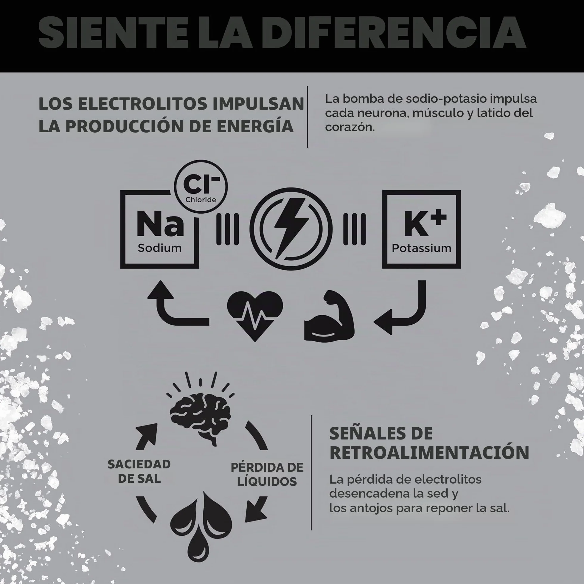 LMNT Zero Sugar Electrolytes Paquete variado Mezcla de bebidas 12 unidades