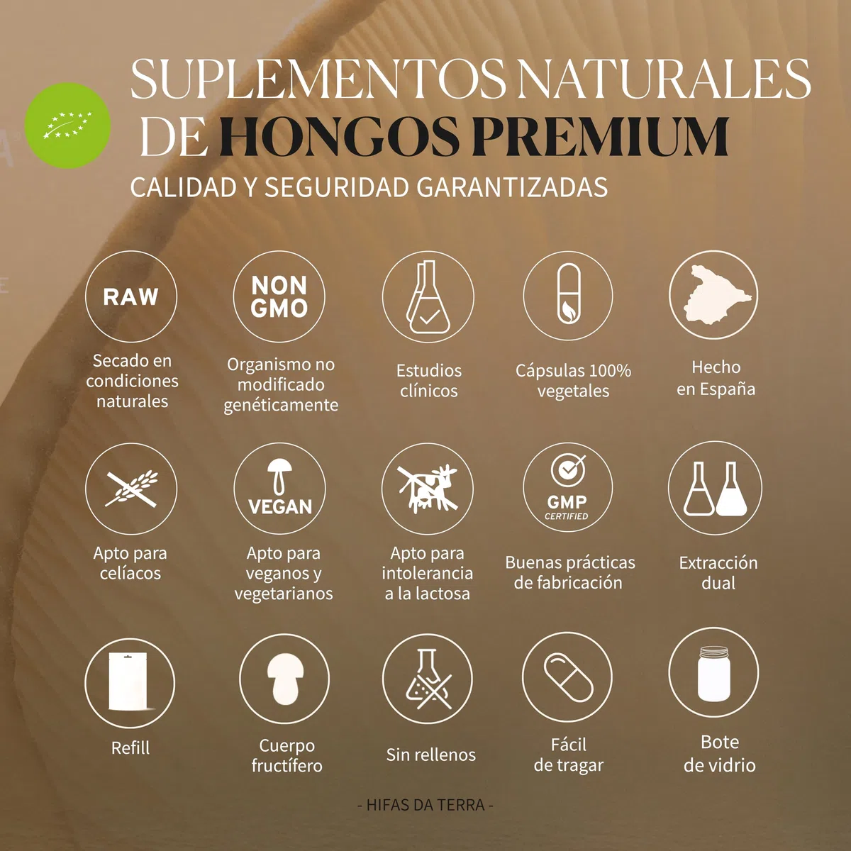 HIFAS DA TERRA - HIFAS-Microbiota Extractos de Hongos Puros de Reishi, Melena de León, Pleurotus y Shiitake para el Bienestar Digestivo con Efecto Prebiótico - Bote 60 Cápsulas