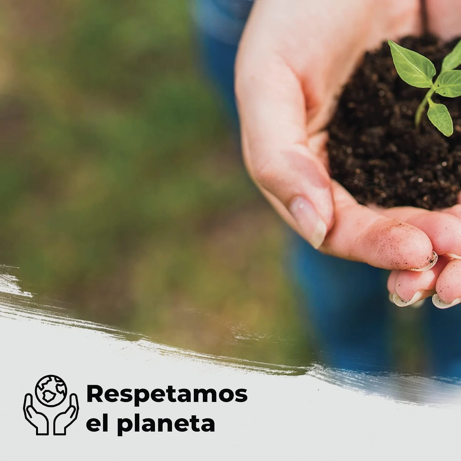 6 Rollos de Papel Camilla para Masaje Ecológico Multicolor 60 cm x 70 m