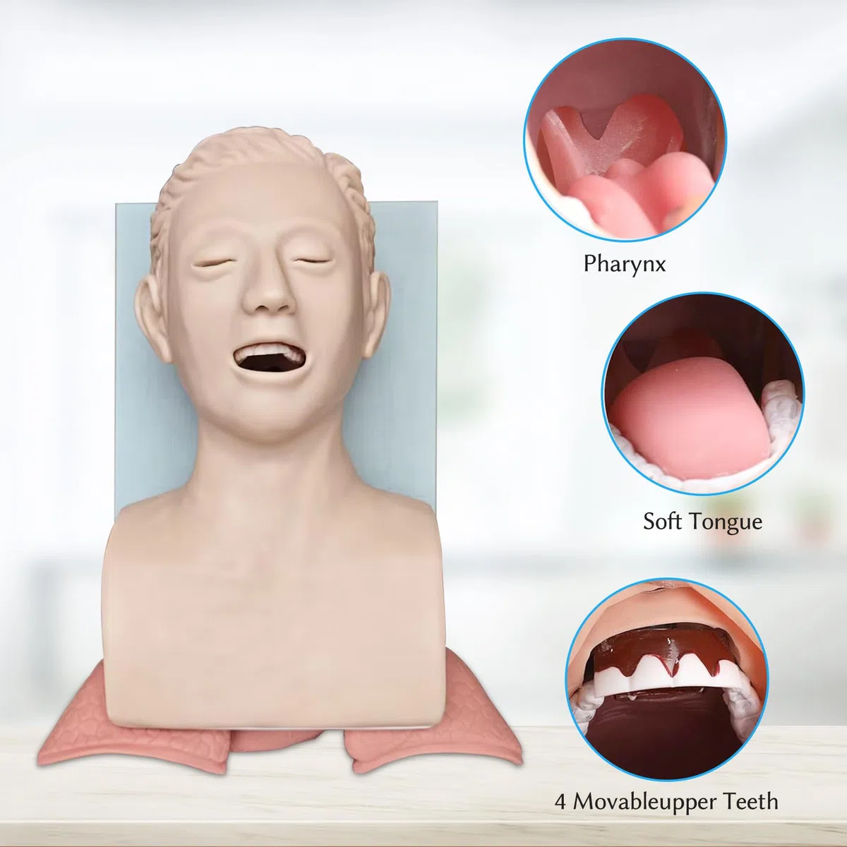 Maniquí de Intubación, Maniquí de Intubación Oral-Nasal para Adultos Modelo Didáctico con Alarma Electrónica, para la Práctica de Estudios de Educación Científica