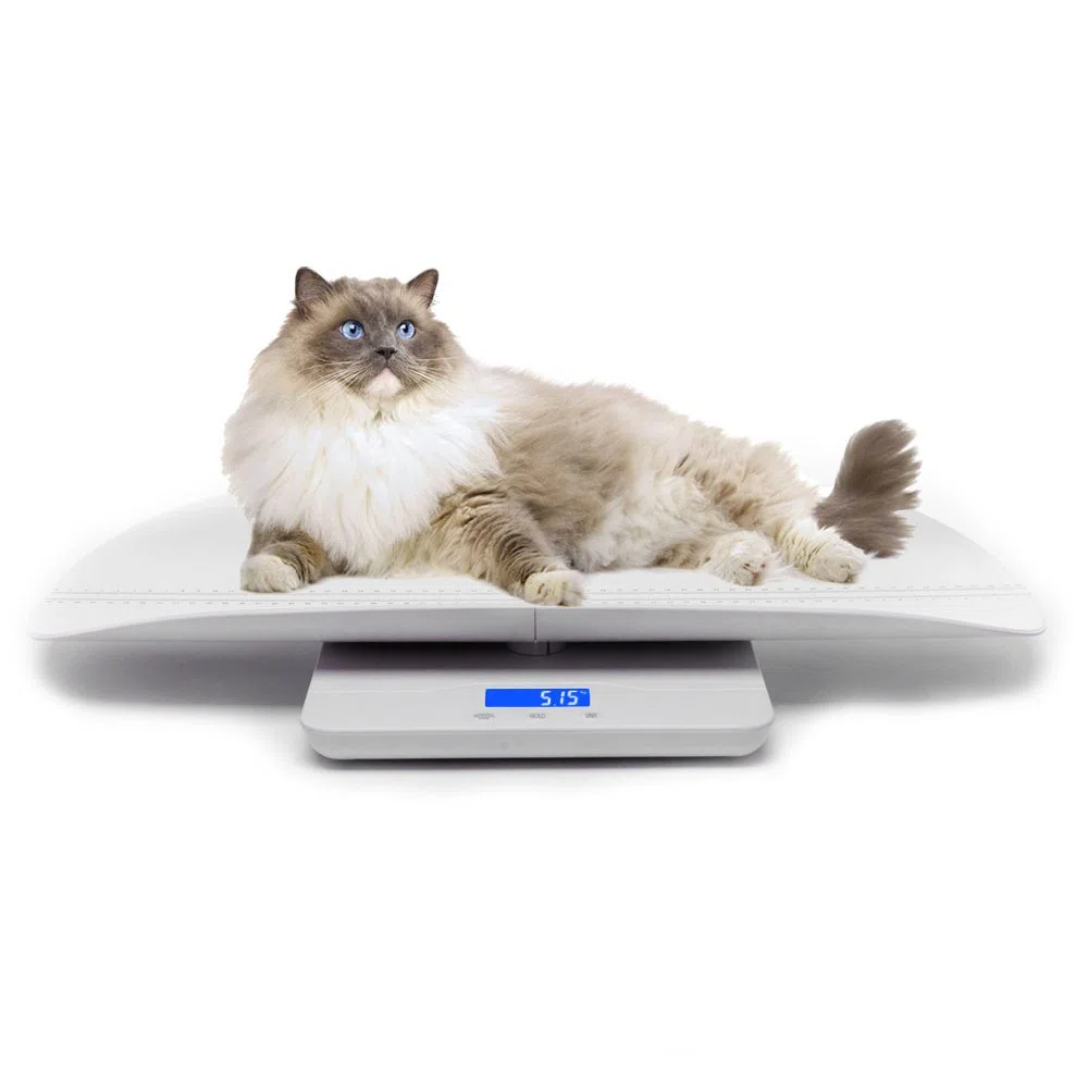 Báscula digital para mascotas, 3 modos kg/oz/lb, 220 lbs, precisión ±0.02 lbs, blanca