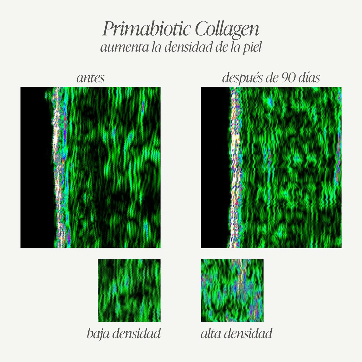 Colágeno + Ácido Hialurónico Bebible – Primabiotic Duo Pack | 60 botellitas de 30 ml | Colágeno 10000 mg + Ácido Hialurónico 250 mg | Complementos Líquidos para una Piel Hidratada y Radiante