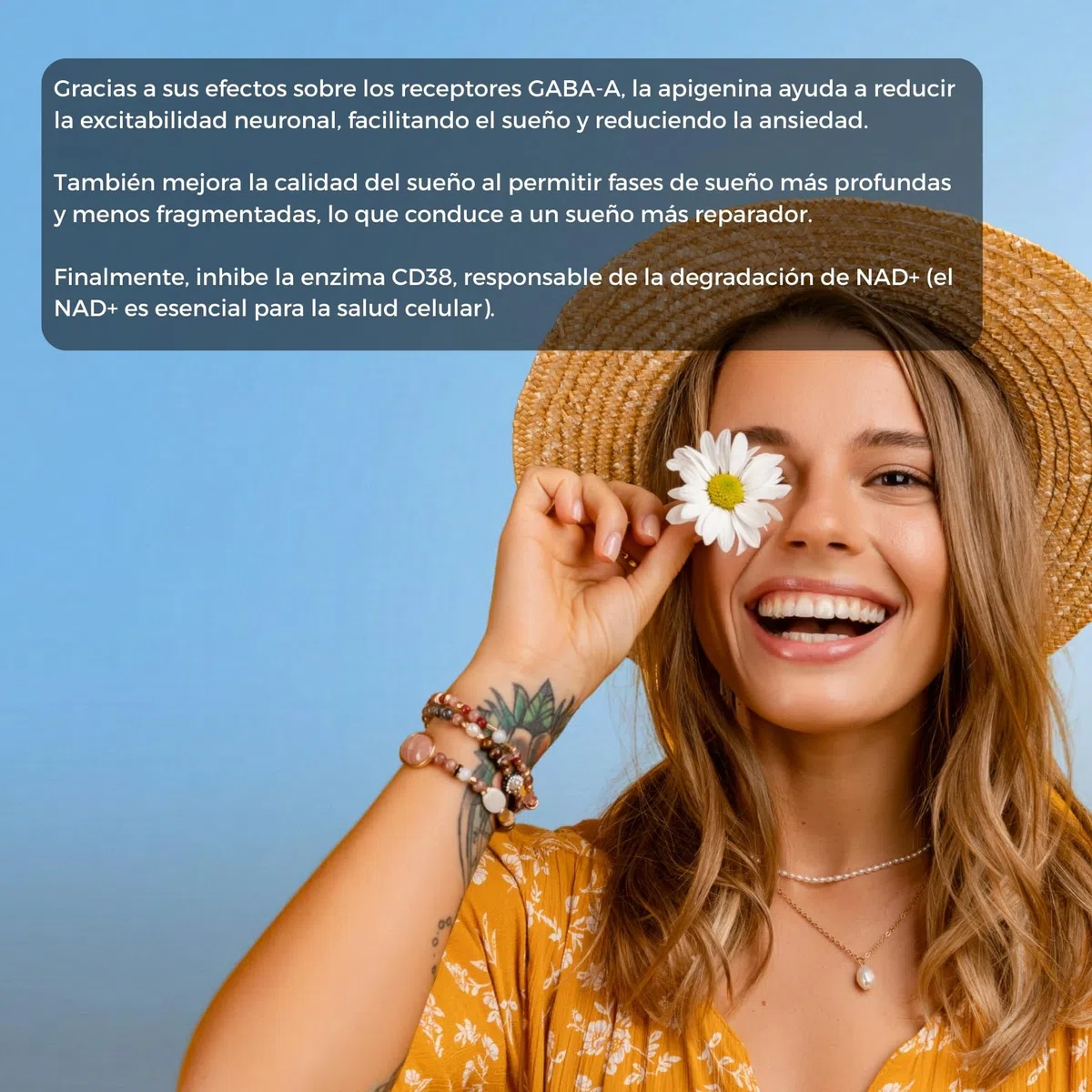 Apigenina Pura ✦ Extracto de Manzanilla ✦ Relajación & Sueño Reparador ✦ Antioxidante & Longevidad ✦ Potencia el NAD+ ✦ 100% Natural & Sin Aditivos ✦ Empresa Francesa ✦