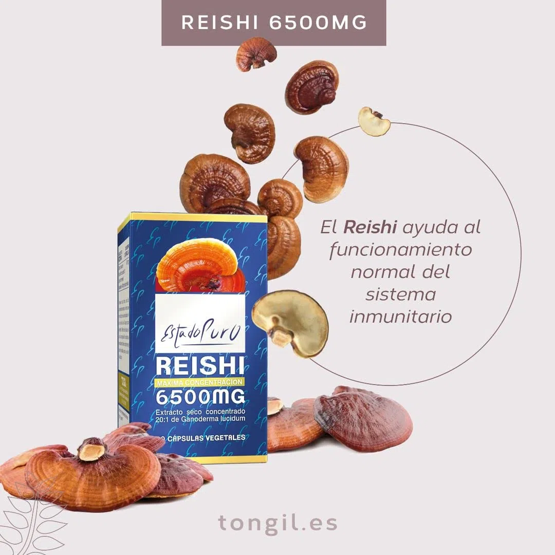 Reishi Estado Puro 6500mg con Vitamina C - Extracto Concentrado 20:1 de Hongo Ganoderma lucidum - Inmunidad y Antioxidante - 60 Cápsulas Vegetales de Tongil (Pack 3)