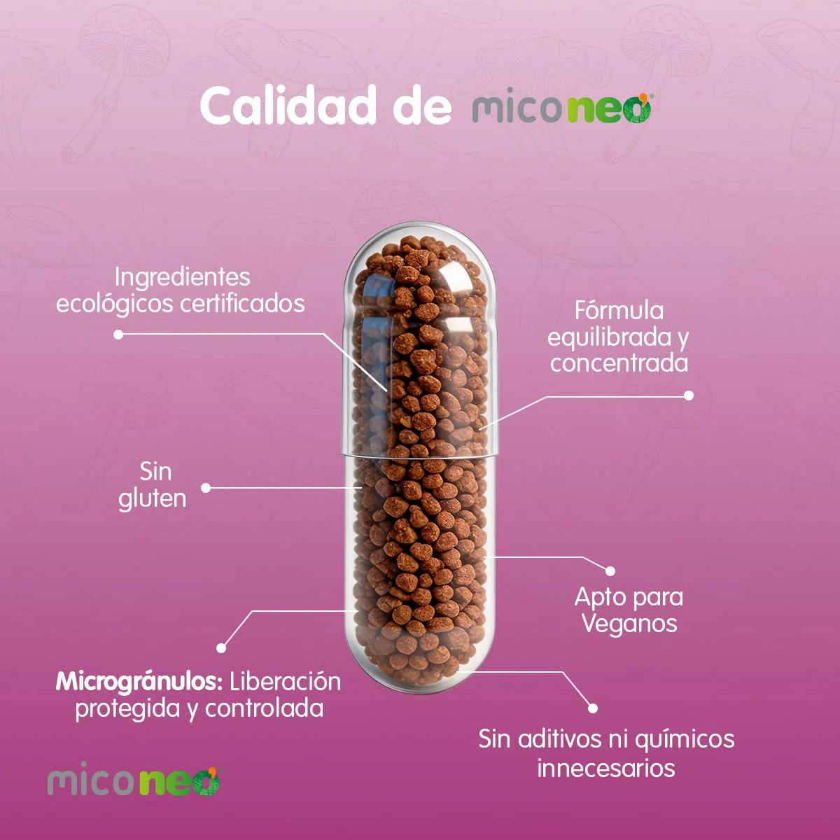 MICO NEO | DEF | 60 Cápsulas | Suplemento Alimenticio de Hongos Naturales Para Mejora de Las Defensas | Con Reishi, Shiitake, Maitake, Cordyceps, Champiñón del Sol y Uña de gato