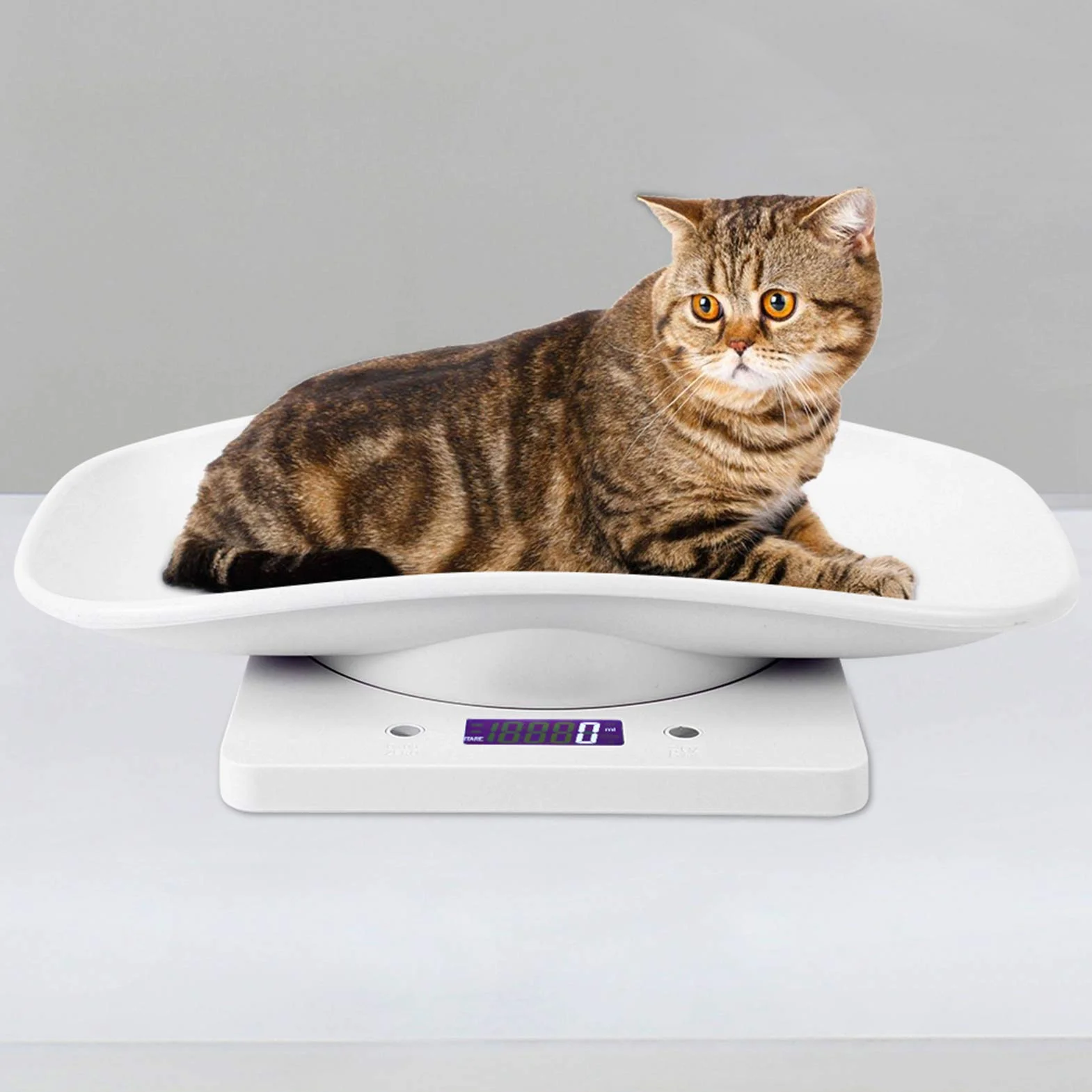 Balanza Electrónica para Mascotas Alta Precisión Perros Gatos Bebés Cocina Medición g ml oz lb
