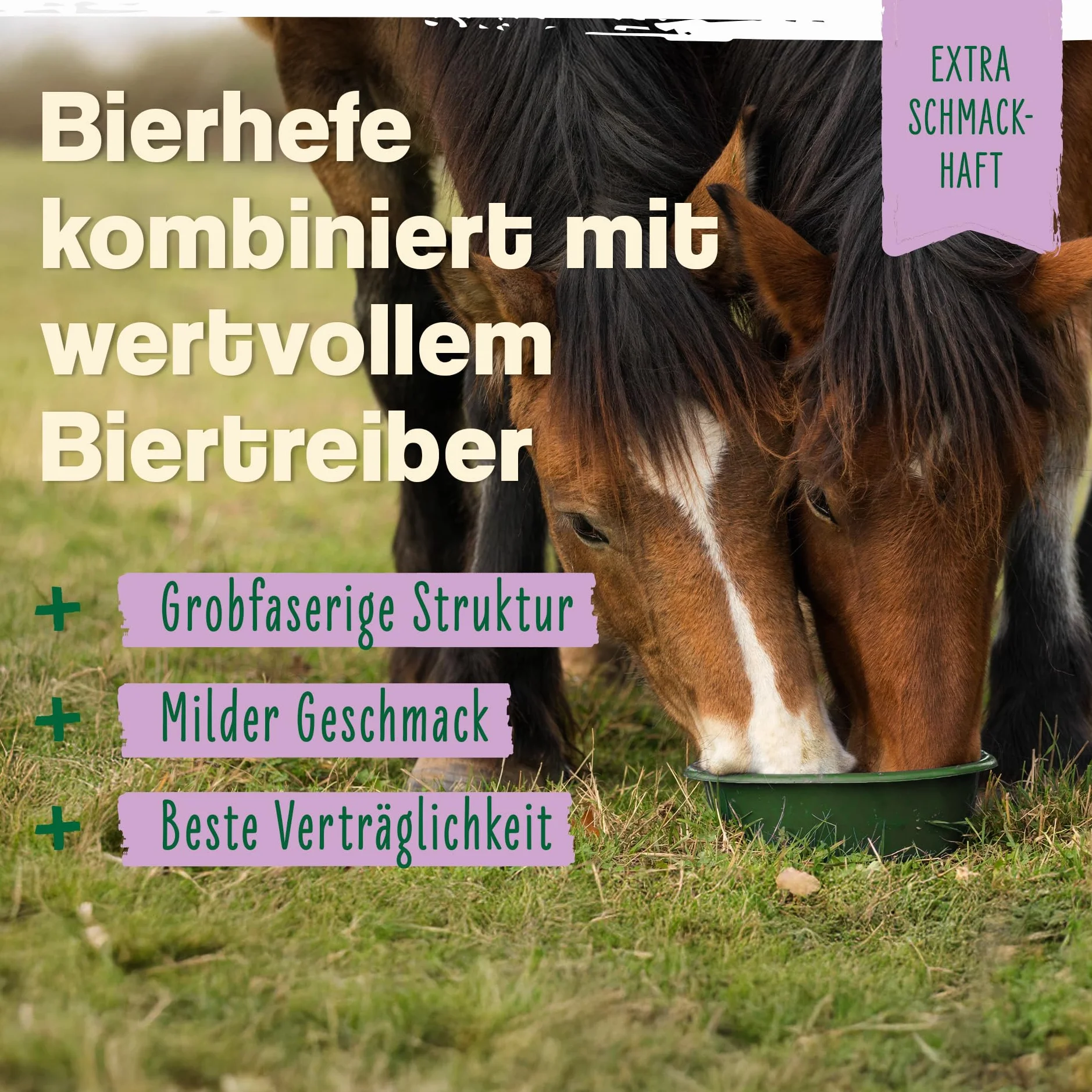 Ida Plus - Levadura de cerveza Bt - 6 kg - Complemento alimenticio para caballos y ponis - para un pelo brillante y una piel fuerte - Apoya la digestión y la flora intestinal - Rico en vitaminas B