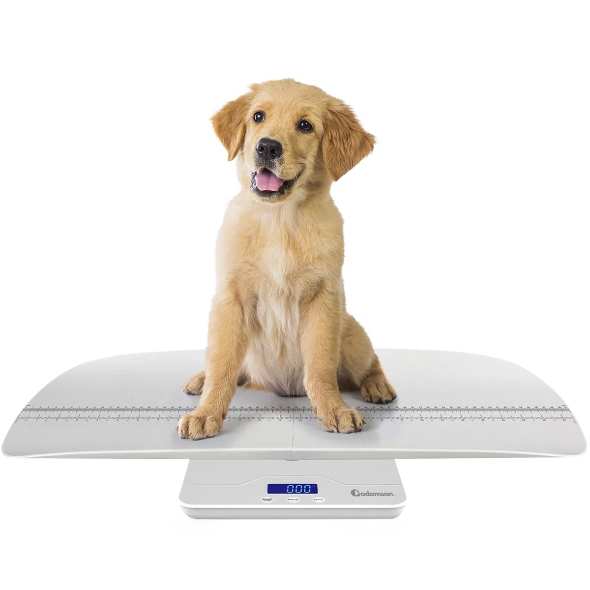 Adamson A50 Báscula para mascotas y bebés - Báscula digital para gatos, perros, conejos, cachorros, niños, adultos - Ideal para bebés prematuros - Hasta 100 kg