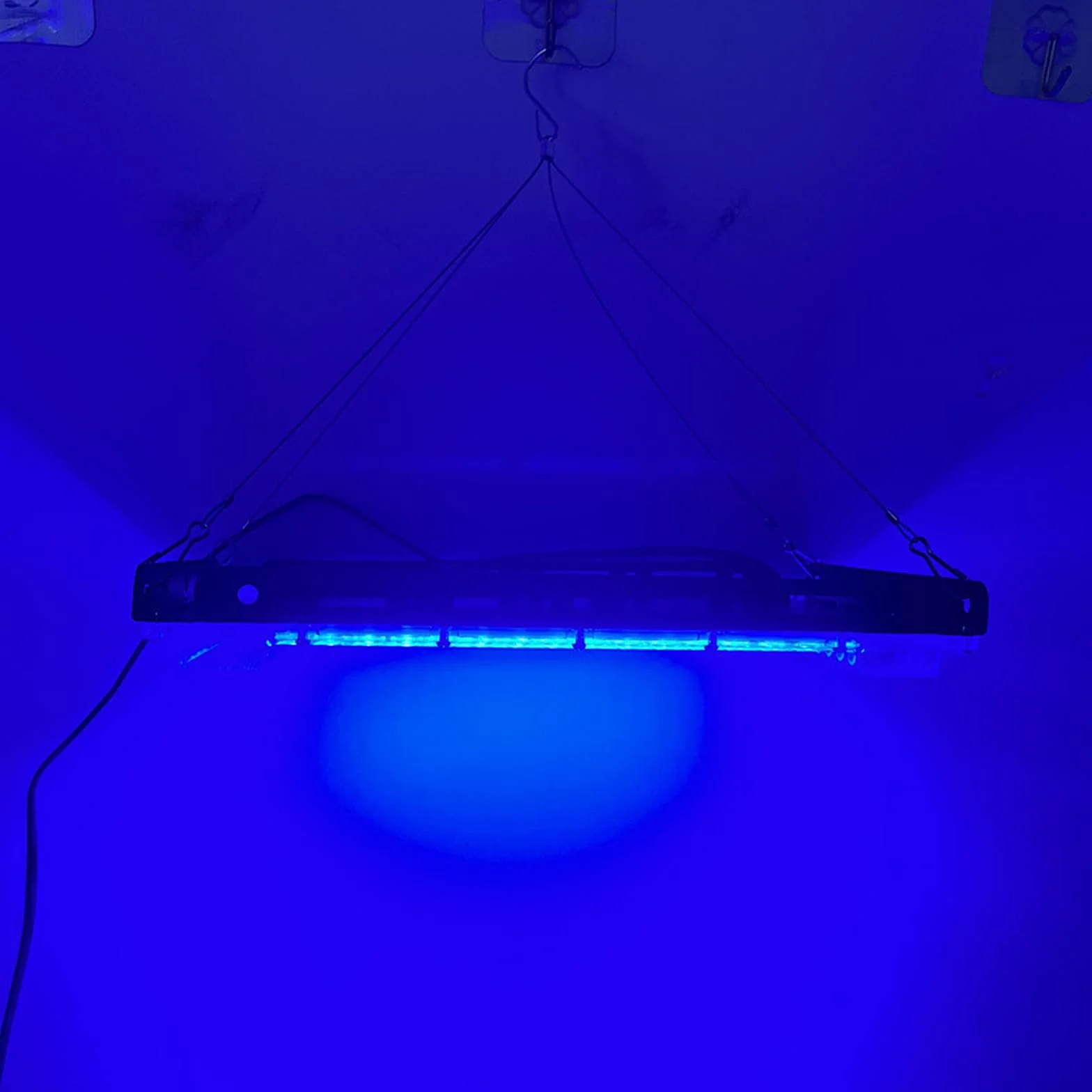 Lámpara de bronceado LED 192 piezas, solárium portátil para hogar con soporte y ganchos