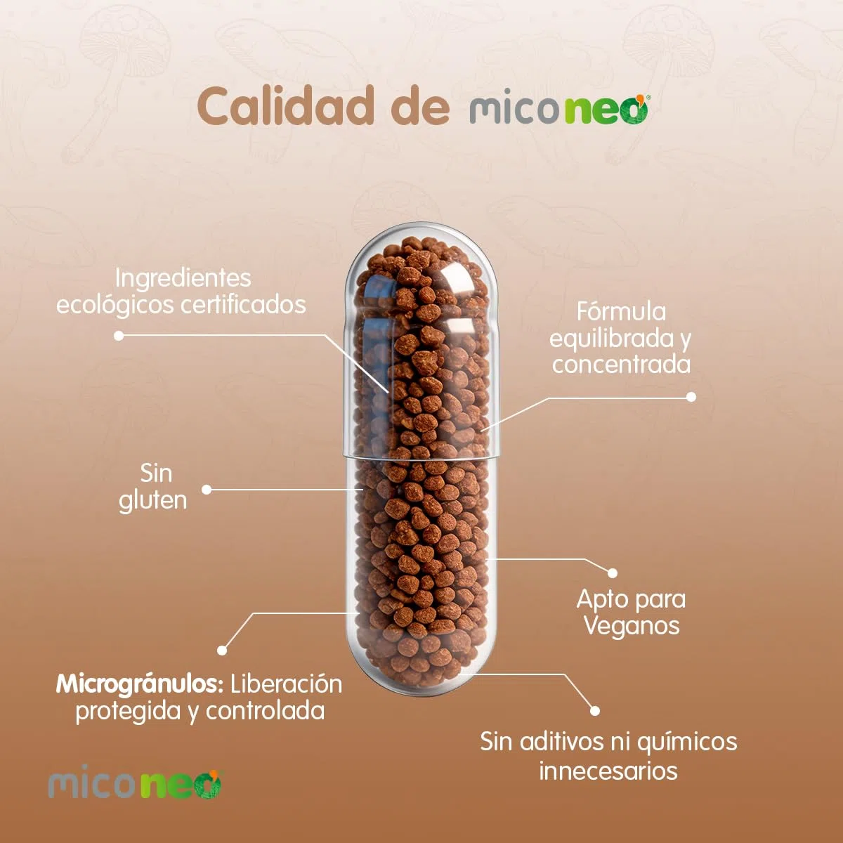 Mico NEO | Hongos Melena de León | Apoyo Digestivo Natural | Apto para Vegetarianos | Sin Gluten ni Derivados Lácteos | Microgránulos NEO | 60 Cápsulas