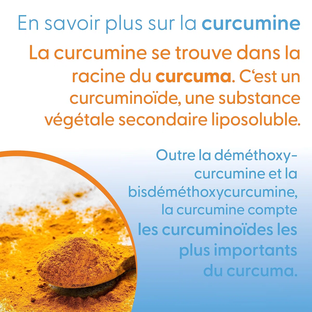 Doctor's Best, High Absorption Curcumin (Curcumina de Alta Absorción), 1.000mg, 120 Comprimidos veganos, Testados en Laboratorio, Cúrcuma, Sin Gluten, Sin Soja, Vegetariano