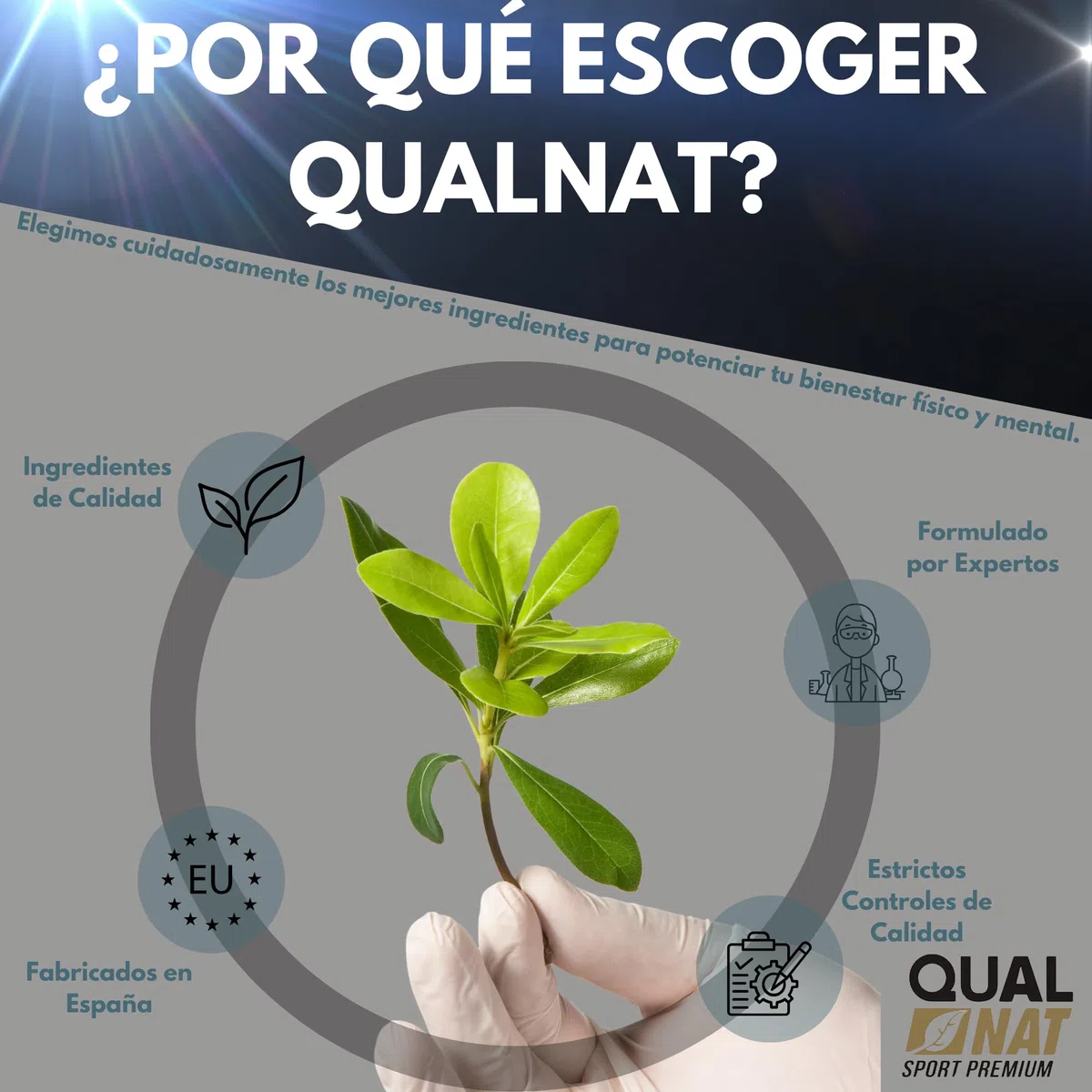 QUALNAT Testosterona Pura Maca + Zinc 240 Comprimidos para Aumentar Masa Muscular y Energía
