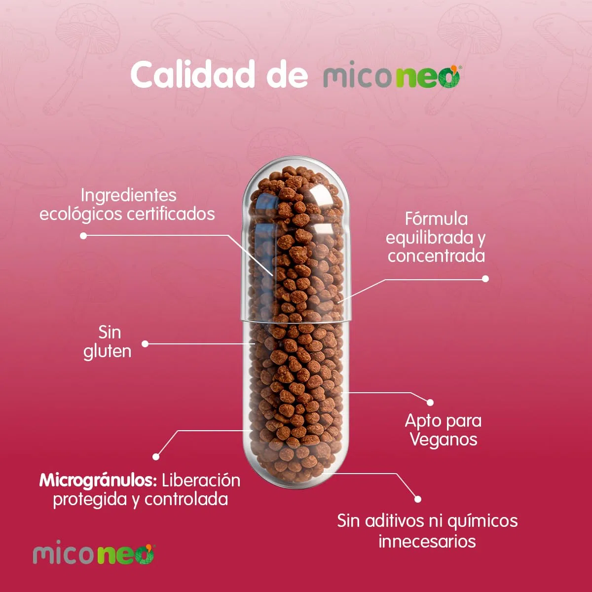 MICO NEO | Complemento Alimenticio 60 Cápsulas | Para Aumentar las Defensas y Proporcionar Energía Diaria | A Base de Reishi Camu-Camu y Vitamina C | Apto para Vegetarianos | Tomar 1 o 2 al día
