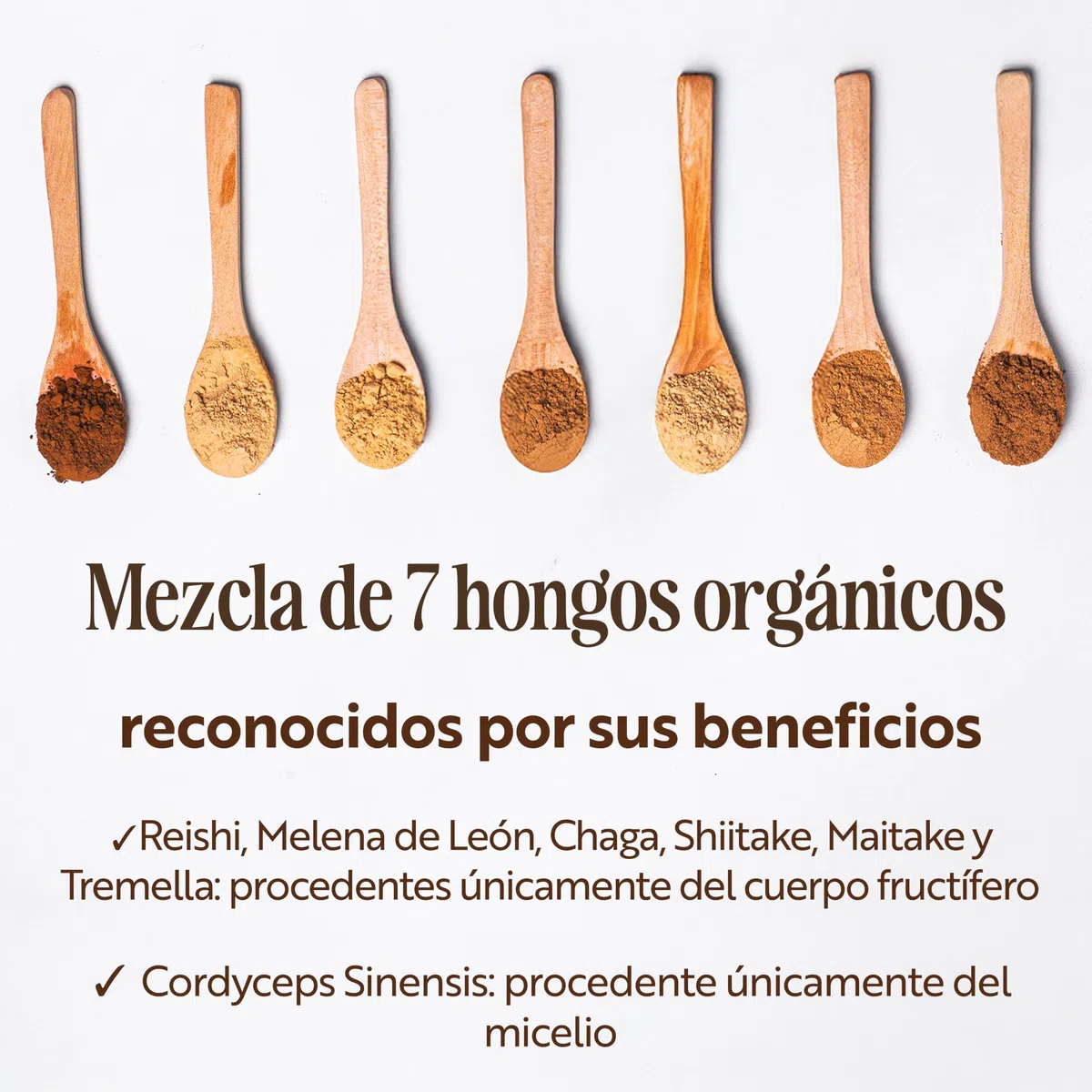 Sevenhills Wholefoods Mezcla de Siete Setas Orgánico En Polvo (Reishi, Chaga, Shiitake, Maitake, Melena De León, Cordyceps, Tremella) 500g