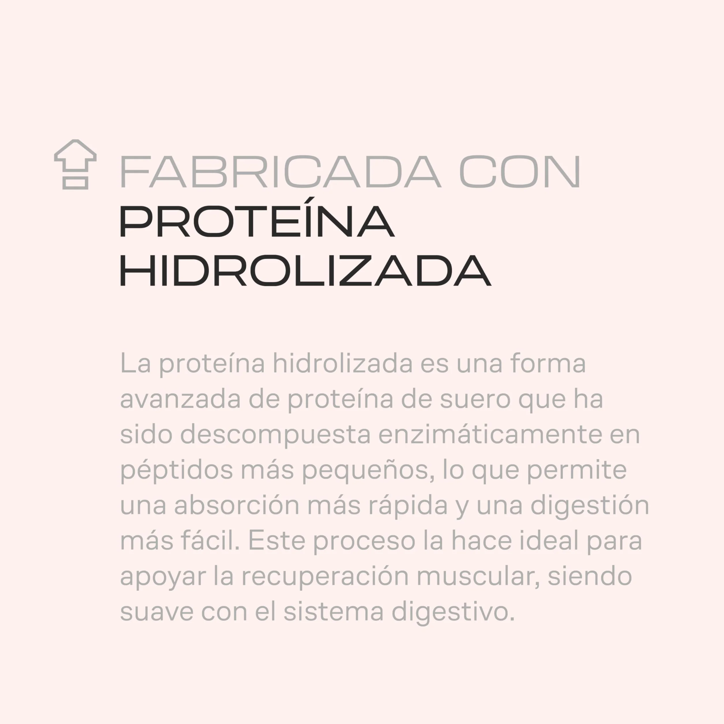 Beverly HYDRO PROTEIN Proteína Hidrolizada de Suero 1 kg 29 g Proteína por Ración DigeZyme Tolerase Alta Digestibilidad Chocolate avellana