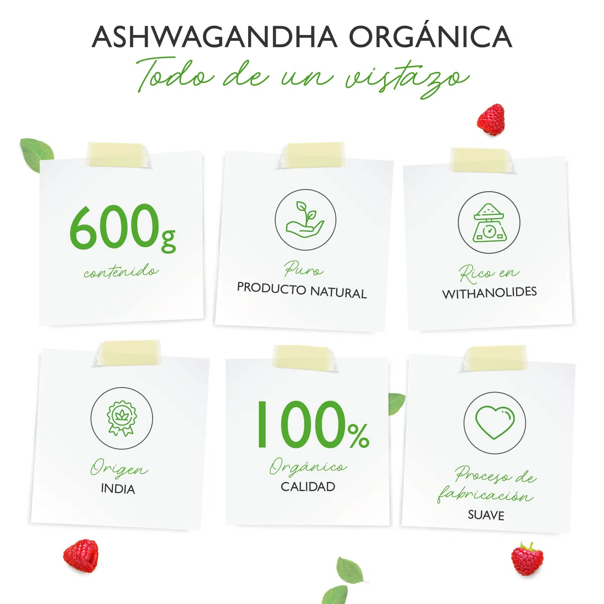 Raíz de Ashwagandha orgánica en polvo 600g - 100% genuina Ashwagandha india (Withania Somnifera) de cultivo orgánico controlado - Vegano