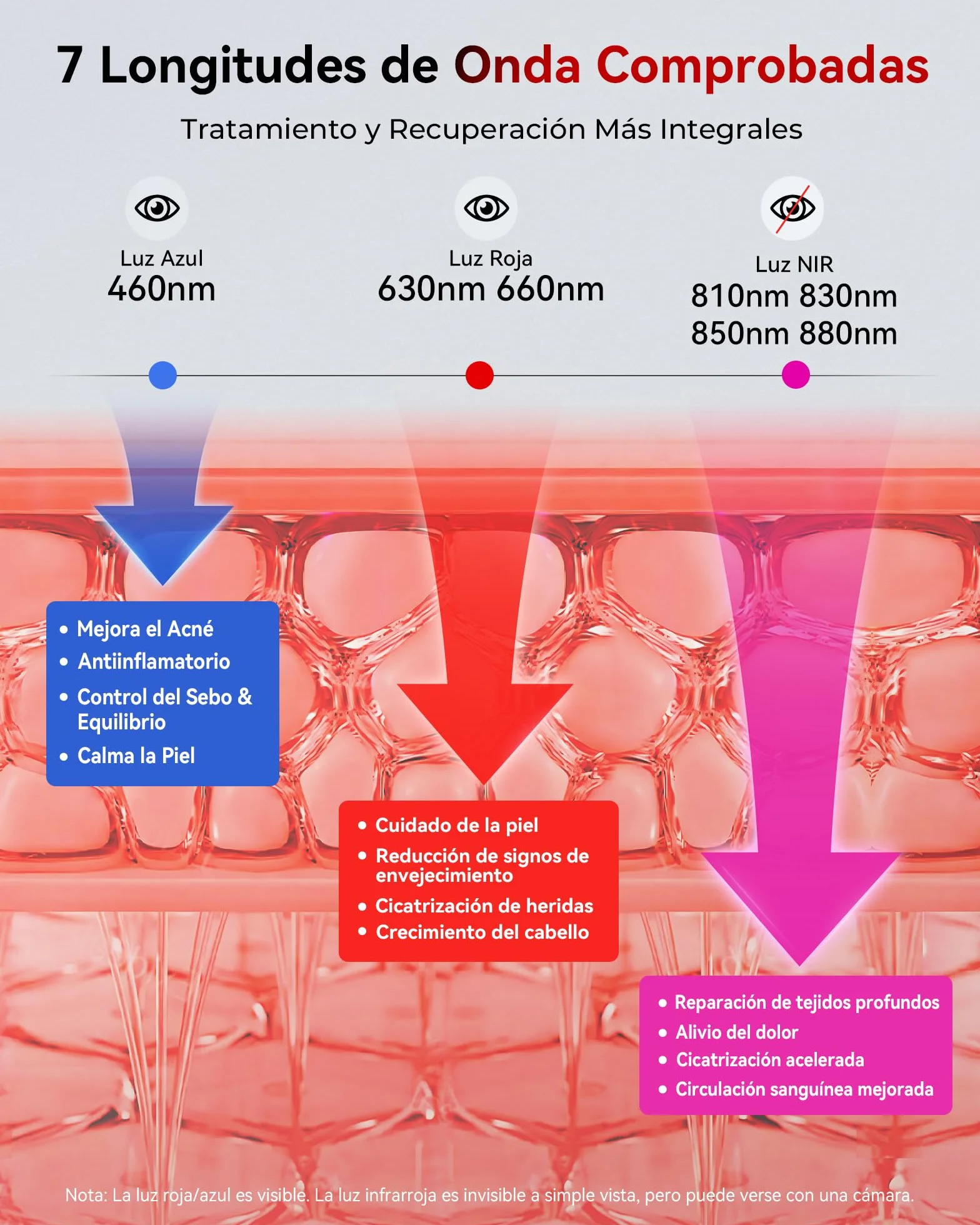 FliKEZE Panel de Luz Roja (Equipamiento Superior), 7 Longitudes de Onda Incluyendo Luz Azul, Luz Roja y Luz Infrarroja Cercana, para Tratar Tejidos Profundos y Superficiales de Manera Dirigida
