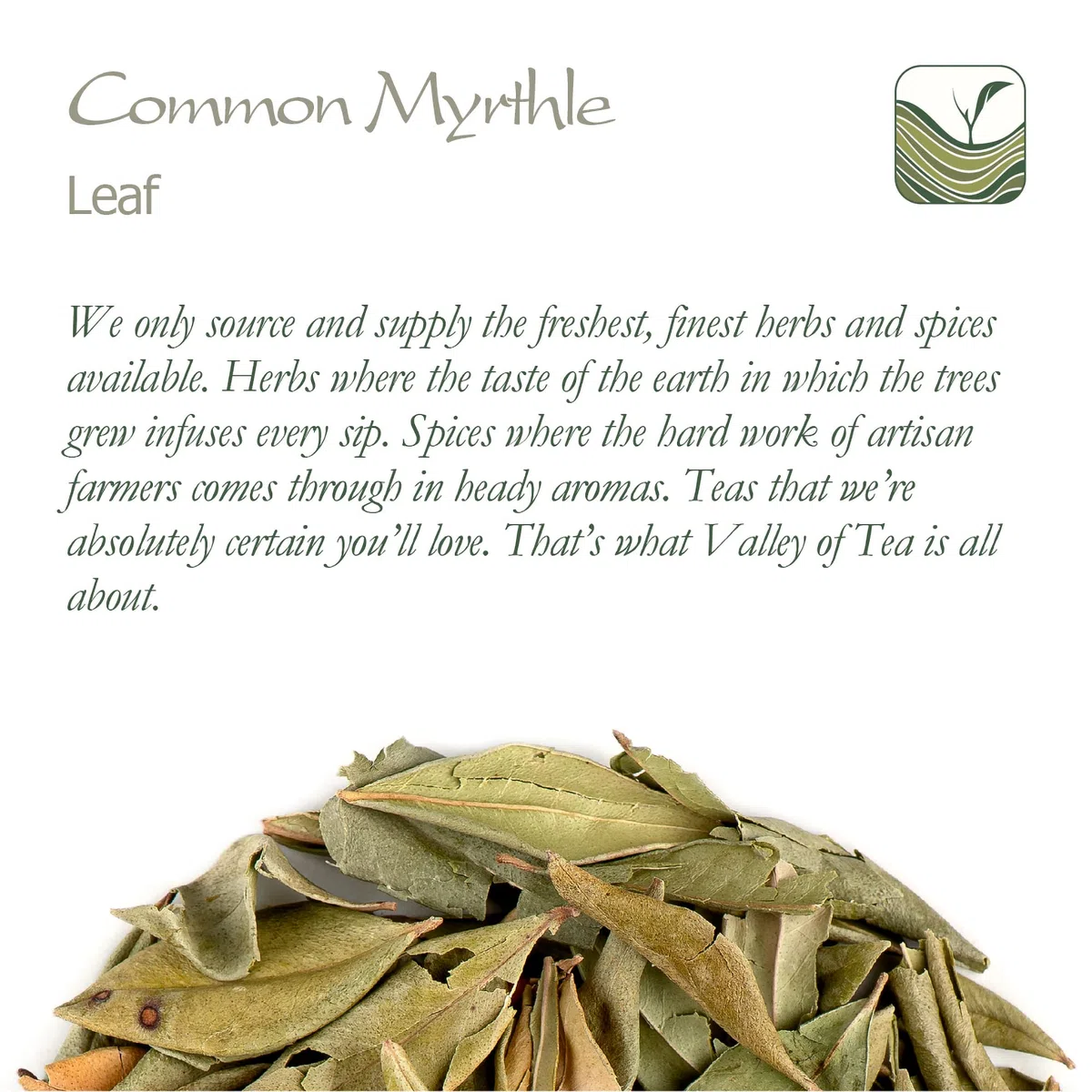 Myrthle Secó Hoja Hierbas - Hojas Sueltas De Myrthle Común