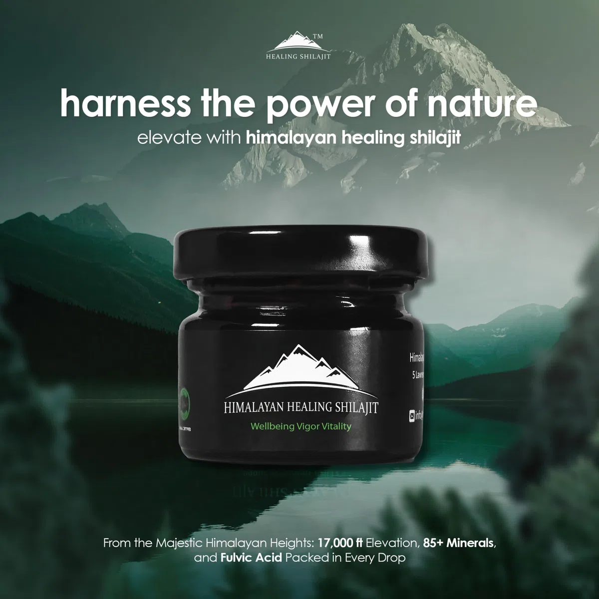 Fresh Hand Collected Himalayan Shilajit - Calidad de oro - 30 gramos - Fabricado en instalaciones registradas GMP/ISO/Halal - Resina secada al sol - Probado en laboratorio de terceros - 84+