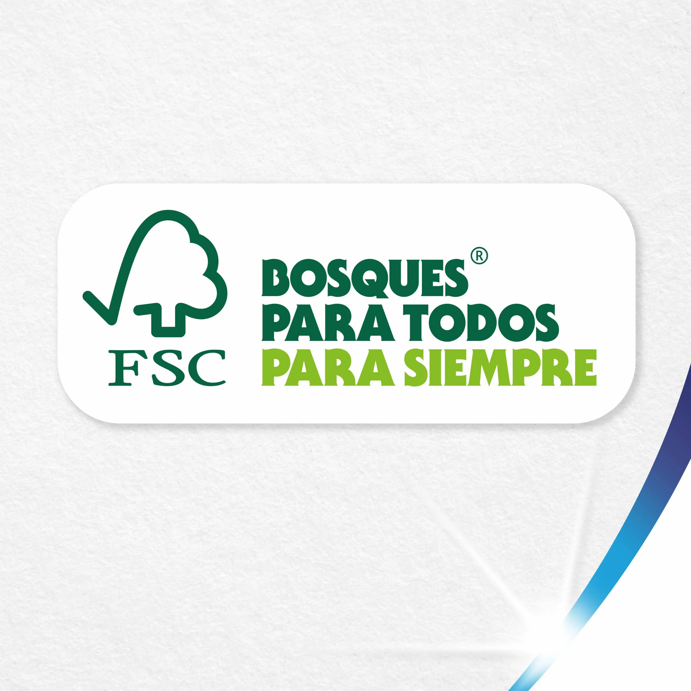 Colhogar Pro-Expert Jumbo 8x1, Papel Cocina Muy Resistente, 8 Rollos Extra Grandes