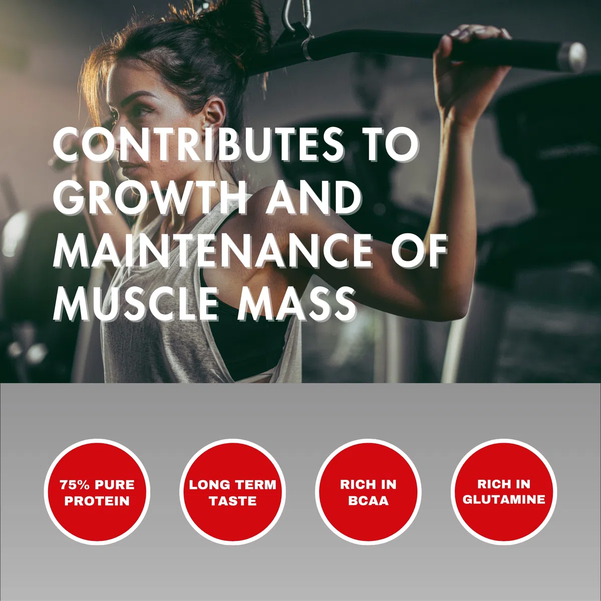 AMIX - Proteína Whey - Pure Fusion - 2,3 Kg - Concentrado de Suero Ultra Filtrado - Proteína Isolada con Splenda - Contiene L-glutamina - Proteínas para Aumentar Masa Muscular - Sabor Chocolate