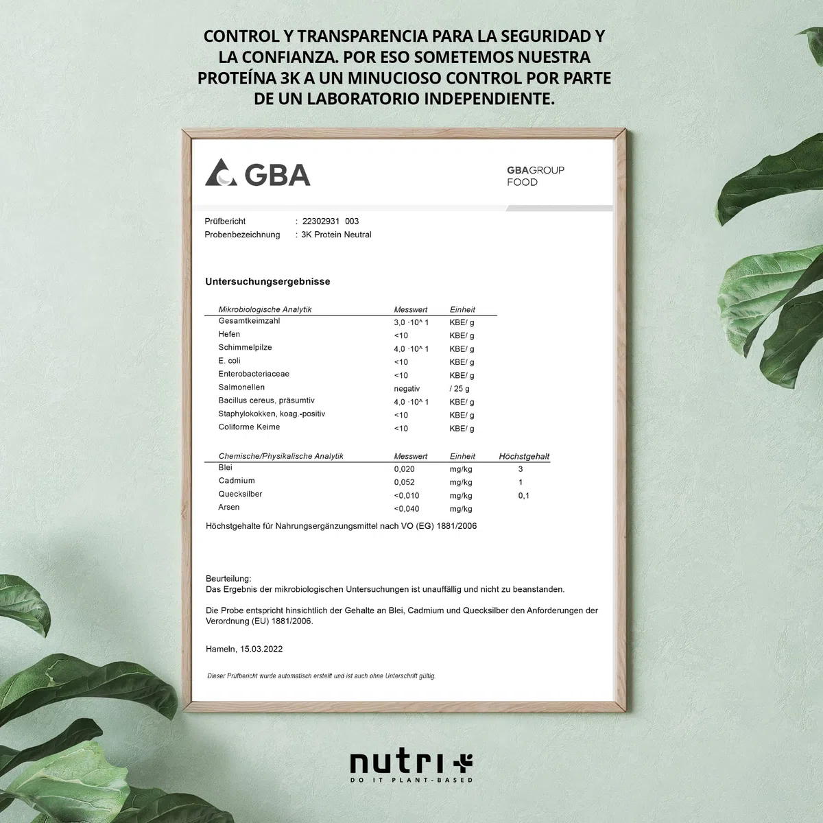 Nutri + Vegan Protein Powder Sabor a Coco y Almendra - 1000g 81% de Proteínas Origen Vegetal - Baja en Carbohidratos 3k para Batidos