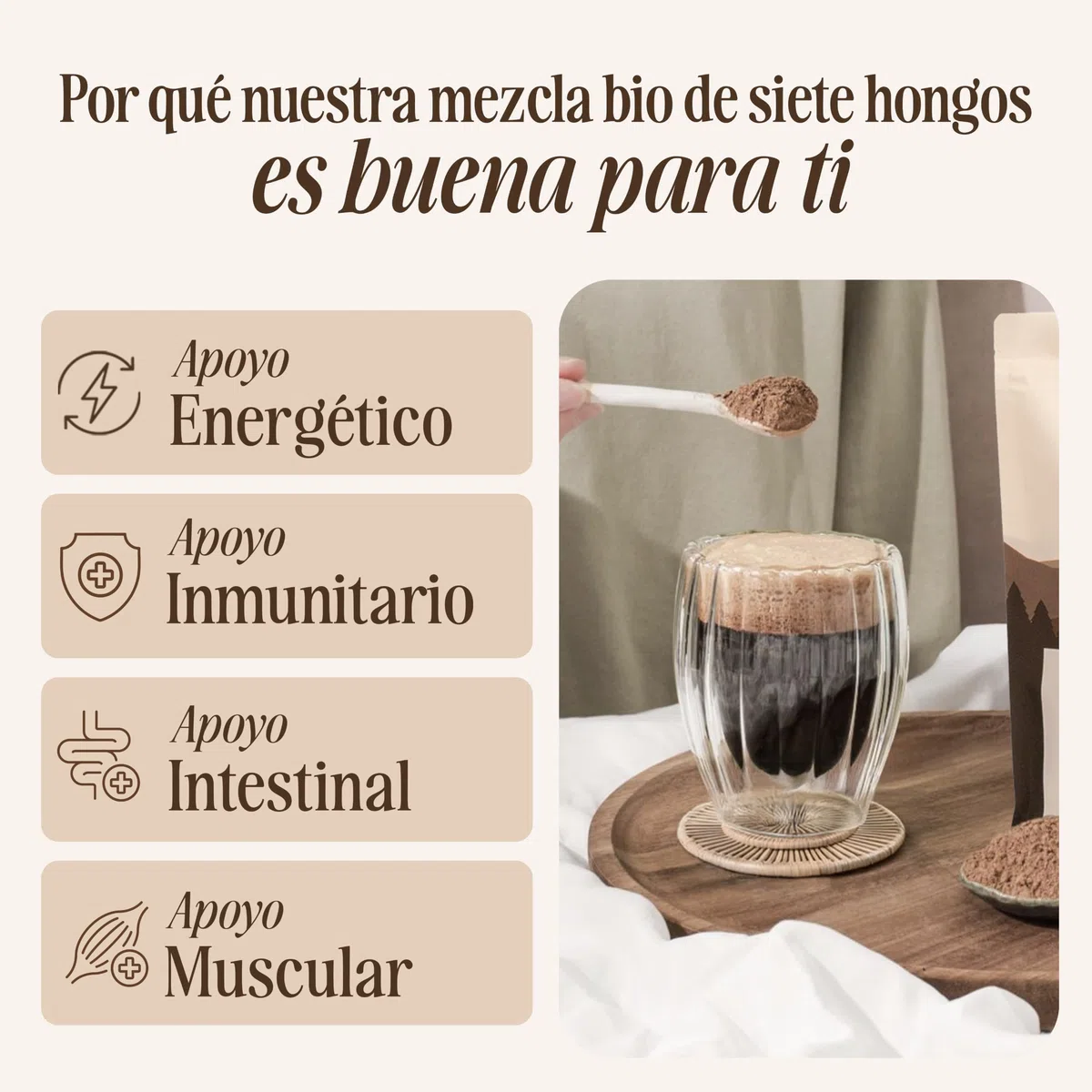 Sevenhills Wholefoods Mezcla de Siete Setas Orgánico En Polvo (Reishi, Chaga, Shiitake, Maitake, Melena De León, Cordyceps, Tremella) 500g