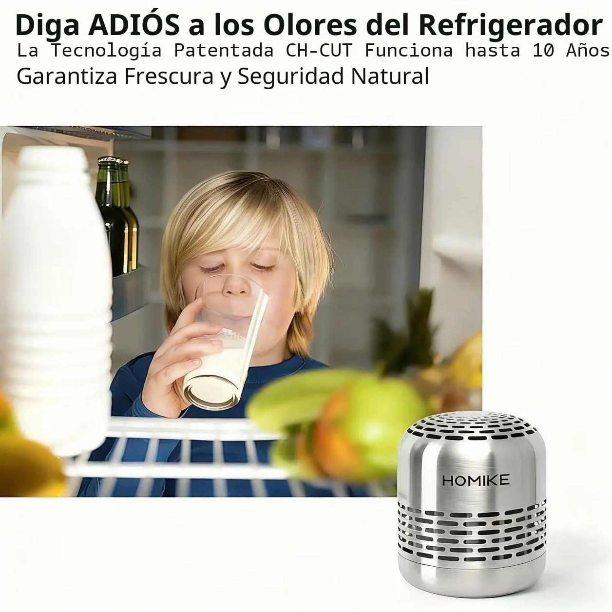 HOMIKE Desodorante para refrigerador, eliminador de olores, dura 10 años, acero inoxidable