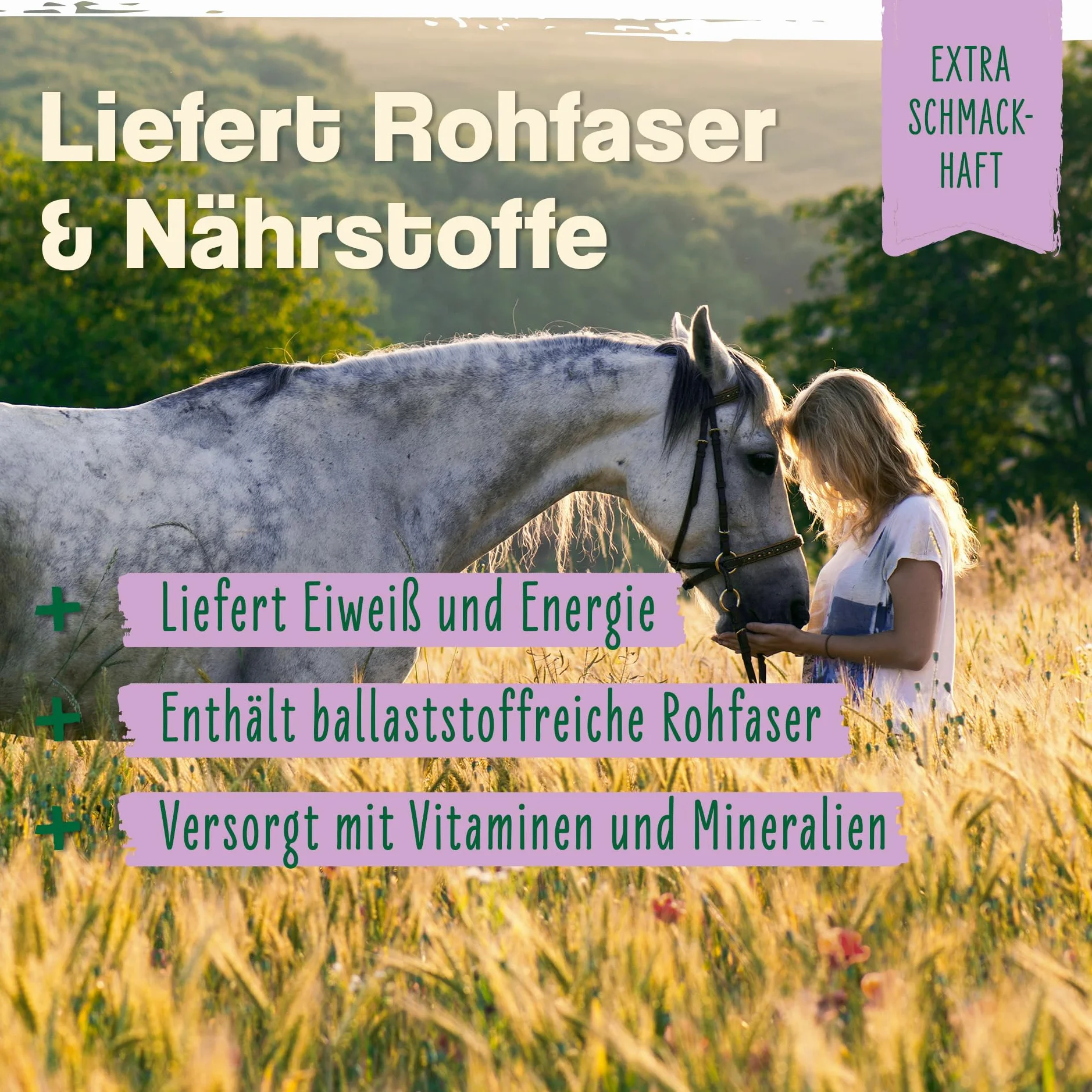 Ida Plus - Levadura de cerveza Bt - 6 kg - Complemento alimenticio para caballos y ponis - para un pelo brillante y una piel fuerte - Apoya la digestión y la flora intestinal - Rico en vitaminas B