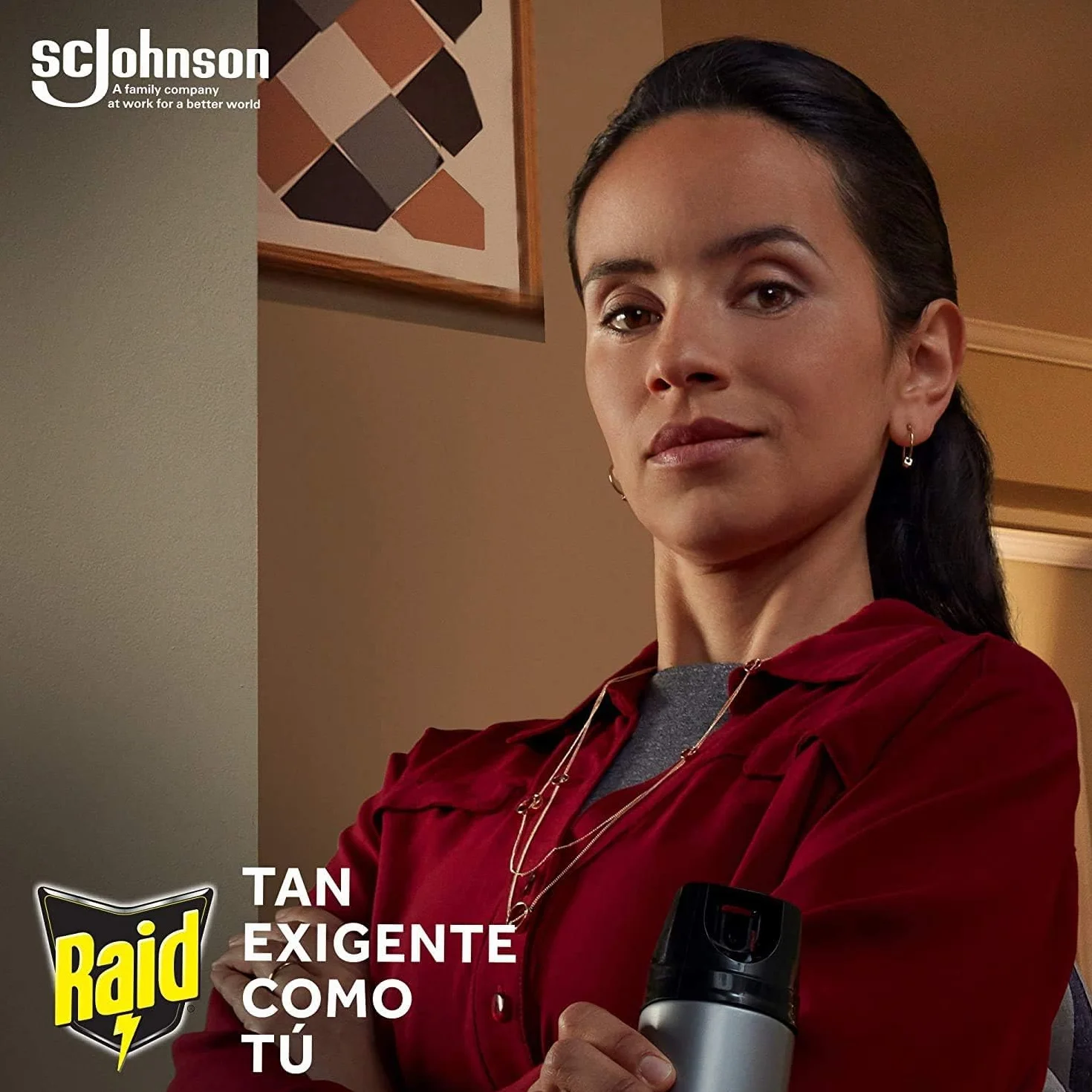 Raid Night & Day Aparato eléctrico Anti Moscas, Mosquitos y Hormigas, Enchufe inoloro, 2 Difusores y 2 Recambios