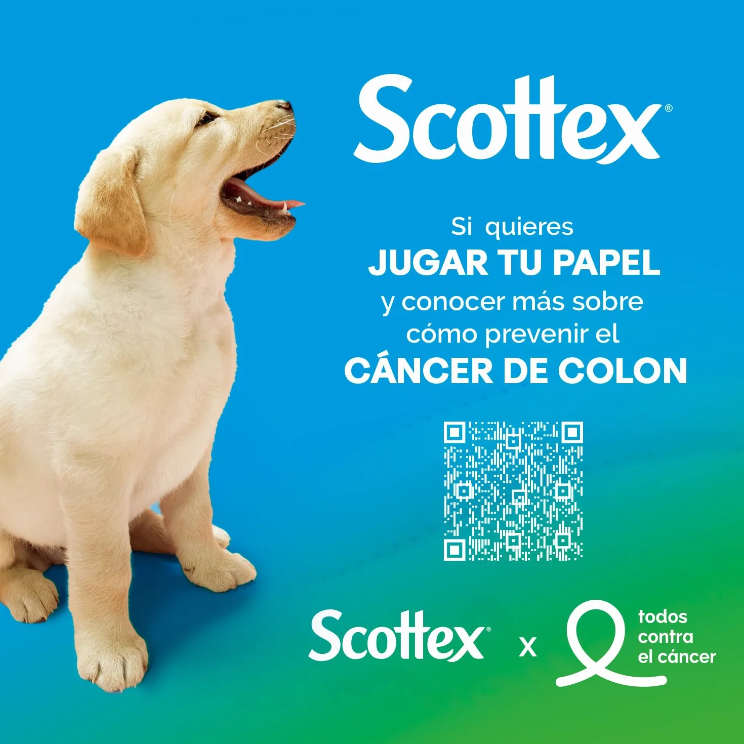 Scottex Original Papel higiénico 128 rollos 4 packs 32 rollos dos capas