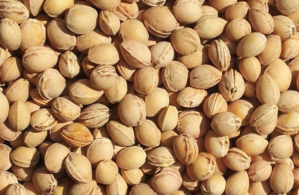 Cojín cervical térmico para cuello y hombros aroma de cereza marrón