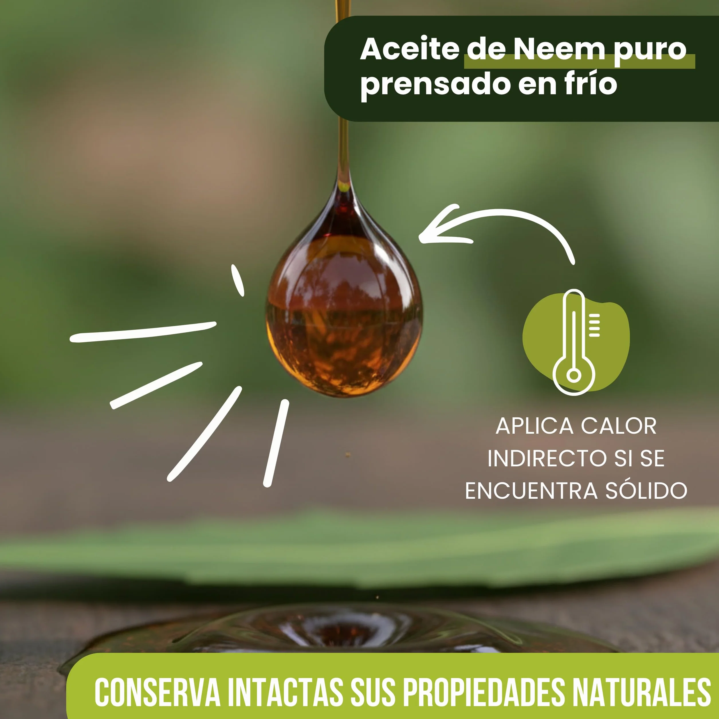 Bioky Aceite de Neem 2 Litros (Pack 1L + 1L) Puro y Natural - Extraído 1ª Presión en Frío Aceite Multiusos