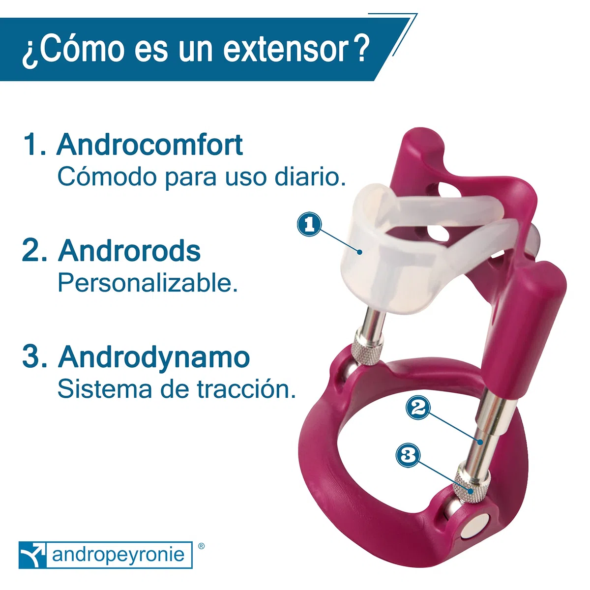 Andropeyronie de Andromedical